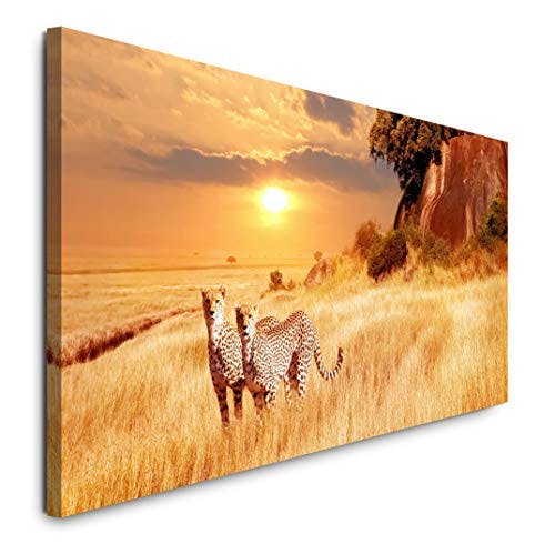 Paul Sinus Art GmbH Afrikanische Landschaft 120x 50cm Panorama Leinwand Bild XXL Format Wandbilder Wohnzimmer Wohnung Deko Kunstdrucke